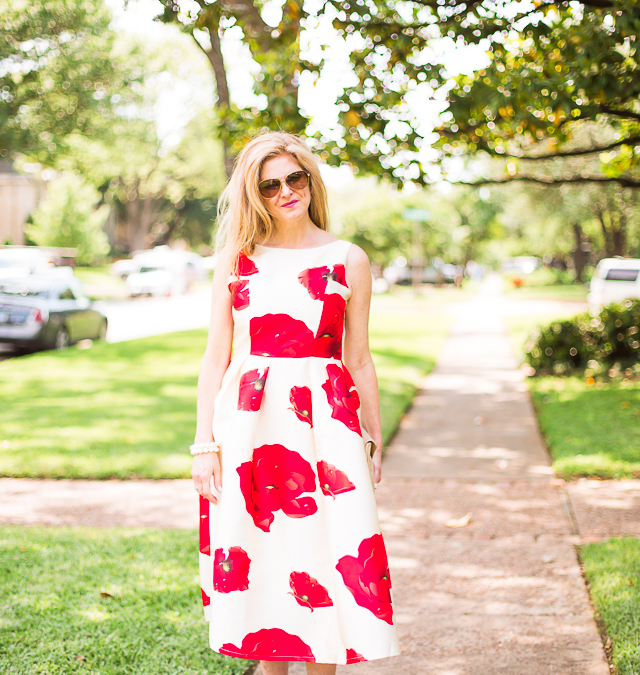 dress for less – Chicwish